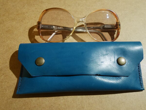 P1000727 étui à lunettes