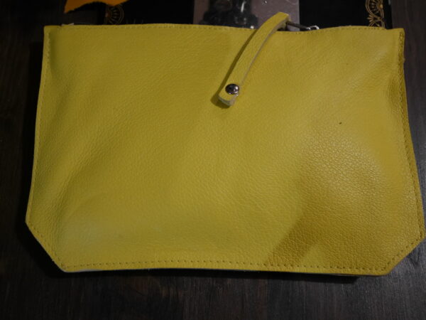 P1000805 Pochette Toti