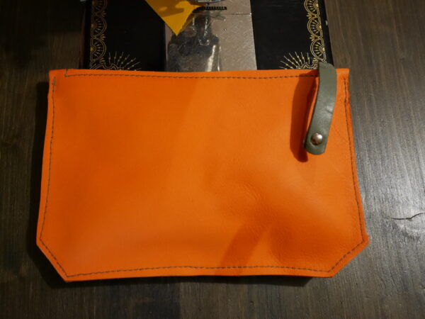 P1000810 Pochette Toti