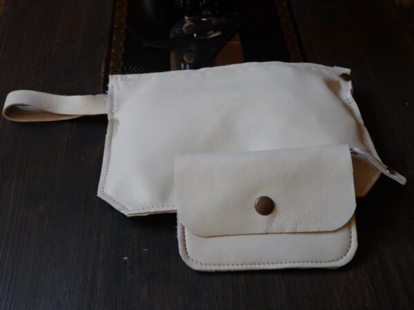 P1010017 Pochette Toti