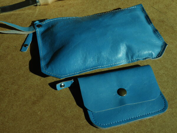 P1010011 Pochette Toti